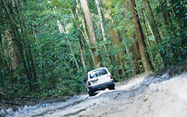 Fraser Experience 4wd Group Tour
